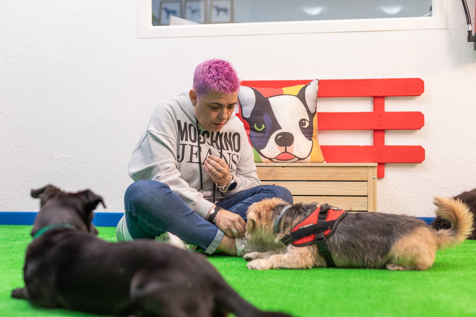 Sesión de diagnóstico de educación canina en Barcelona - Adiestradora de EmpathyDogs trabajando con perros en el centro de Sant Andreu
